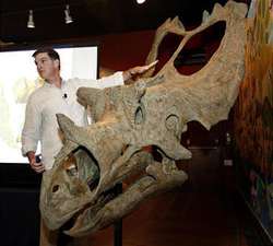 Scott Sampson with his hand on a triceratops dinosaur skeleton.