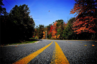 photo of a road in fall colors