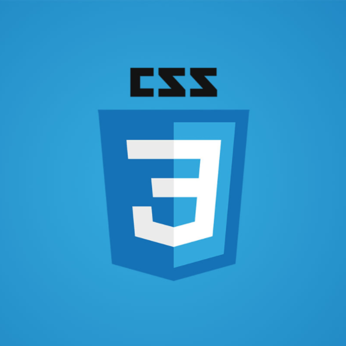 20 div 3. Css3. CSS логотип. Значок CSS. Сеы.